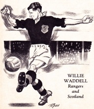 Willie Waddell, Scotland 1951