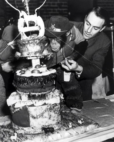 Jimmy Greaves & Linda the chimp cutting the Christmas cake